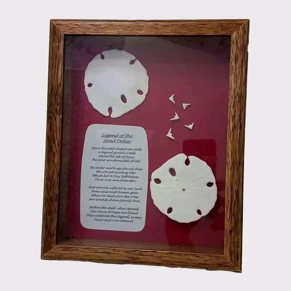 VNT Legend Of The Sand Dollar Maplewood Frame RED Shadowbox Decor Art Coastal